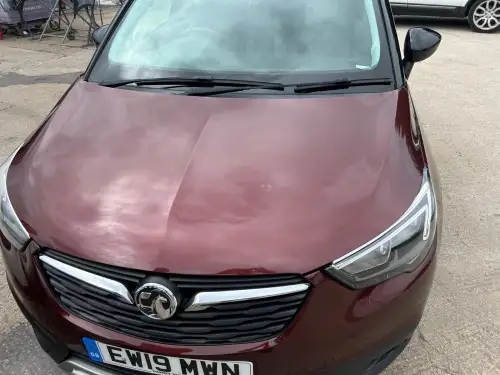 Click Here To Enlarge This Photo Of Bird Lime Stains On Vauxhall Bonnet