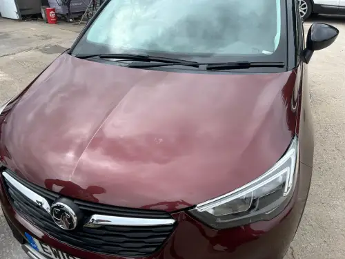 Click Here To Enlarge This Photo Of Bird Lime Stains On Vauxhall Bonnet