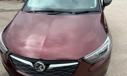 Photo of Bird Lime Stains On Vauxhall Bonnet